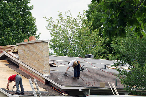 Best Roof Ventilation Installation  in Ouray, CO